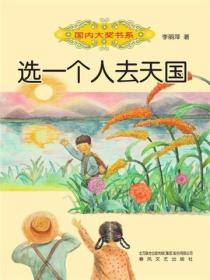 国内大奖书系：选一个人去天国